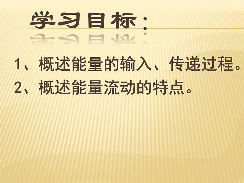 6.2.3能量流动和物质循环课件济南版生物八年级下册05