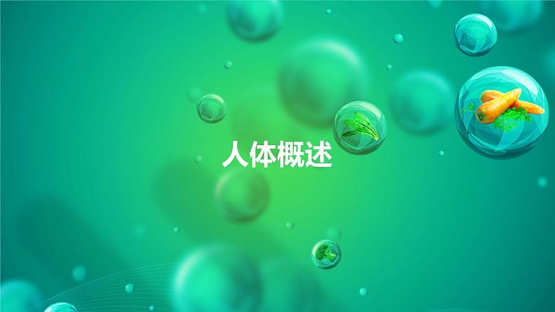 8.3人体概述课件苏教版生物七年级下册第1页