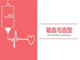 4.4.4输血与血型课件人教版生物七年级下册
