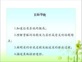 lreuex4v.eyy@4.5人体内废物的排出课件人教版生物七年级下册