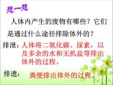 lreuex4v.eyy@4.5人体内废物的排出课件人教版生物七年级下册