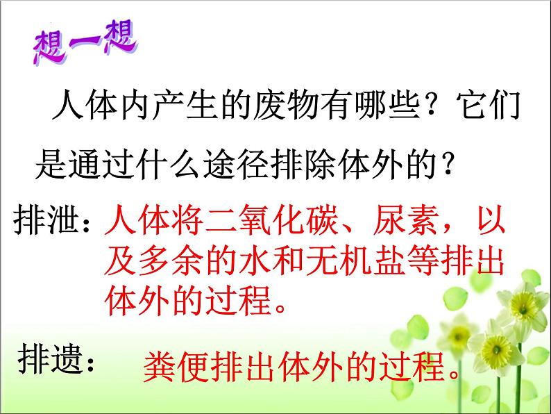 lreuex4v.eyy@4.5人体内废物的排出课件人教版生物七年级下册第4页