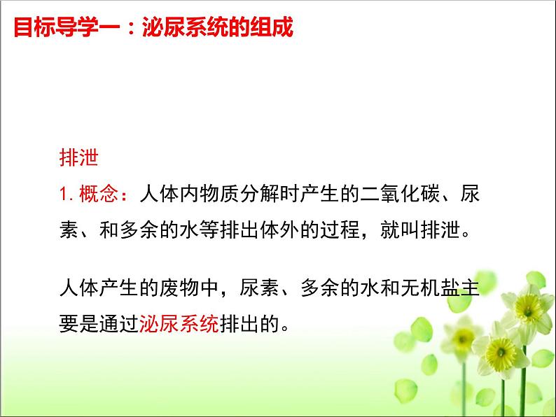 lreuex4v.eyy@4.5人体内废物的排出课件人教版生物七年级下册第6页