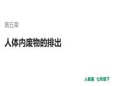第四单元第五章人体内废物的排出课件人教版生物七年级下册
