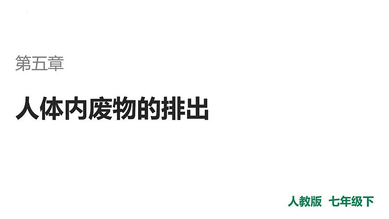 第四单元第五章人体内废物的排出课件人教版生物七年级下册第1页