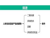 第四单元第五章人体内废物的排出课件人教版生物七年级下册
