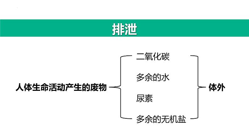 第四单元第五章人体内废物的排出课件人教版生物七年级下册第3页