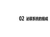 第四单元第五章人体内废物的排出课件人教版生物七年级下册