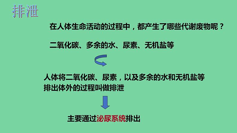 4.5人体内废物的排出课件人教版生物七年级下册02