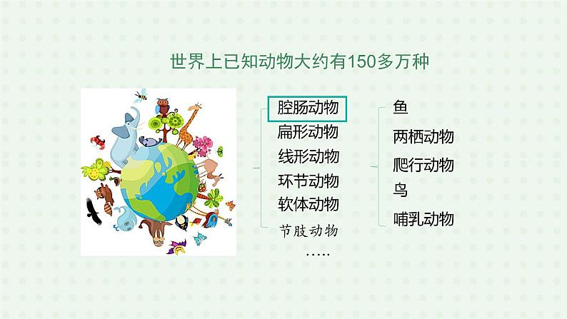5.1.1《腔肠动物和扁形动物》（第一课时）-课件04