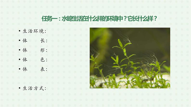 5.1.1《腔肠动物和扁形动物》（第一课时）-课件06