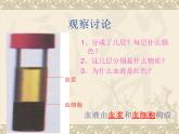 北师大版七下生物 9.1血液 课件