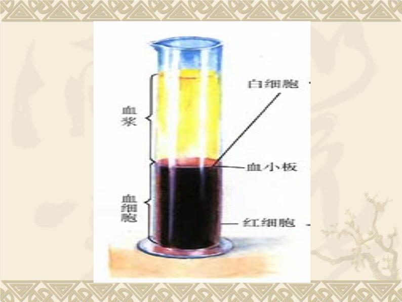 北师大版七下生物 9.1血液 课件第6页