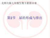 北师大版七下生物 11.2尿的形成与排出 课件