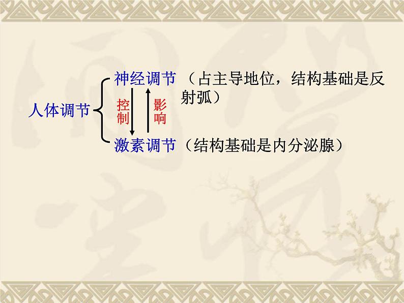 北师大版七下生物 12.3激素调节 课件第2页