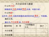 北师大版七下生物 12.3激素调节 课件