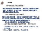 北师大版八下生物 23.4生态系统的稳定性 课件