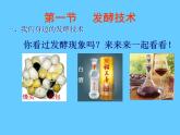 北师大版八下生物 25.1发酵技术 课件