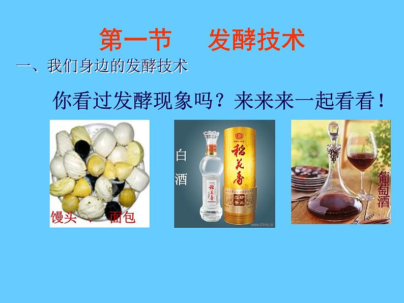 北师大版八下生物 25.1发酵技术 课件02