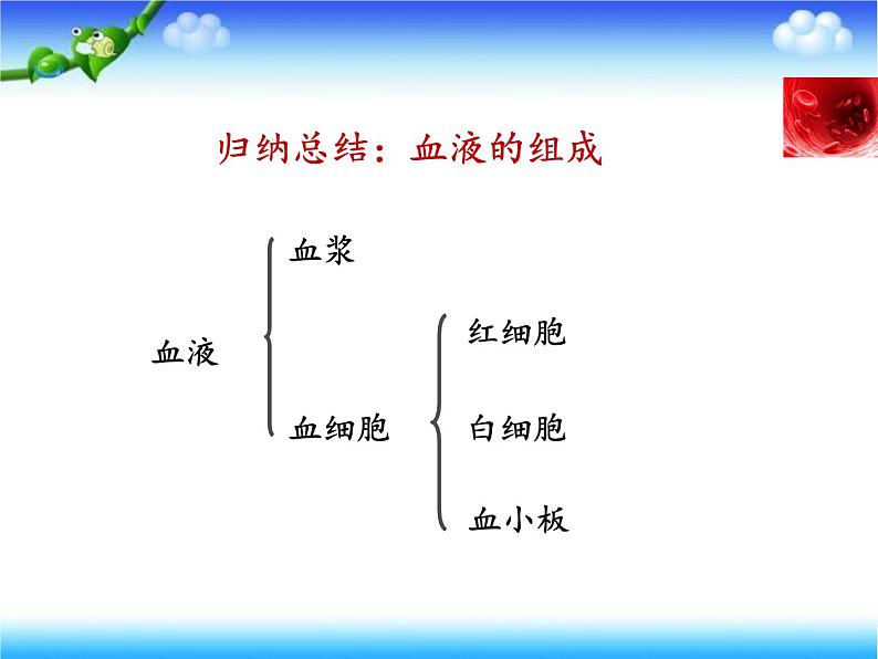 济南版七下生物 3.1物质运输的载体 课件第7页