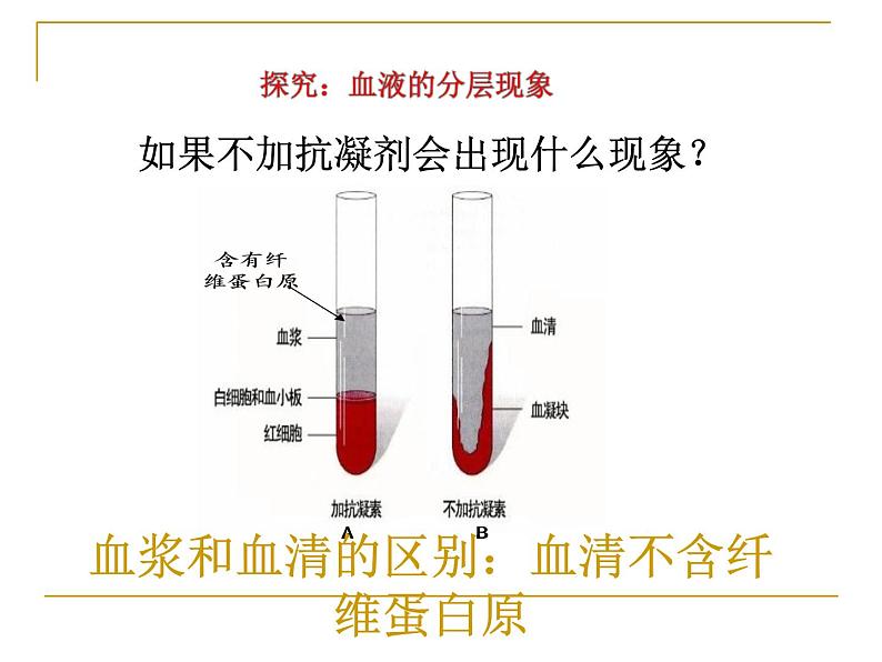 济南版七下生物 3.1物质运输的载体 课件04