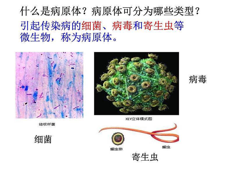 冀教版七下生物 6.2疾病与预防 课件03