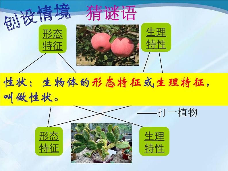 冀教版八下生物 6.2.1遗传 课件第2页