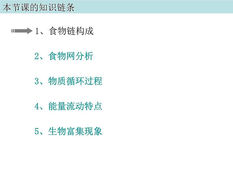 冀教版八下生物 7.2.2食物链和食物网 课件04