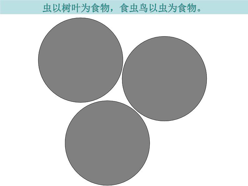 冀教版八下生物 7.2.2食物链和食物网 课件08