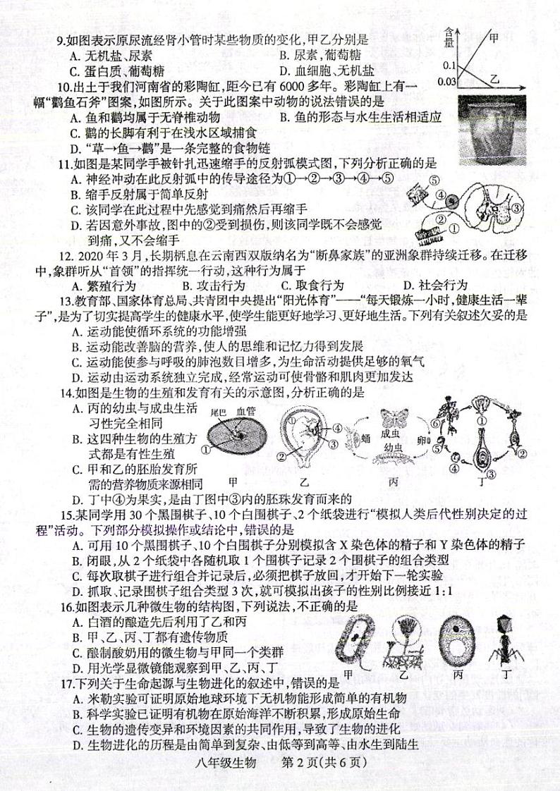 2022河南省焦作市一模完整版生物有答案练习题02