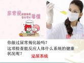 人教版七下生物 5人体内废物的排出 课件