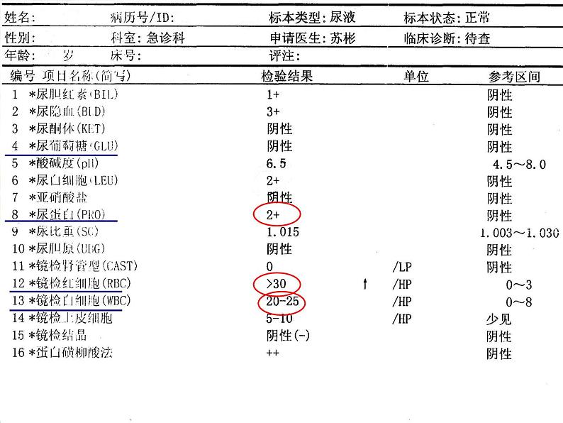 人教版七下生物 5人体内废物的排出 课件第2页