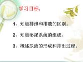 人教版七下生物 5人体内废物的排出 课件