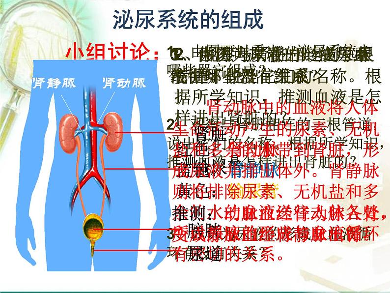 人教版七下生物 5人体内废物的排出 课件第6页