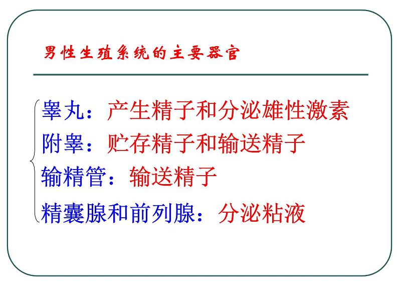 人教版七下生物 1.2人的生殖 课件04