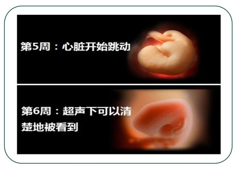 人教版七下生物 1.2人的生殖 课件08