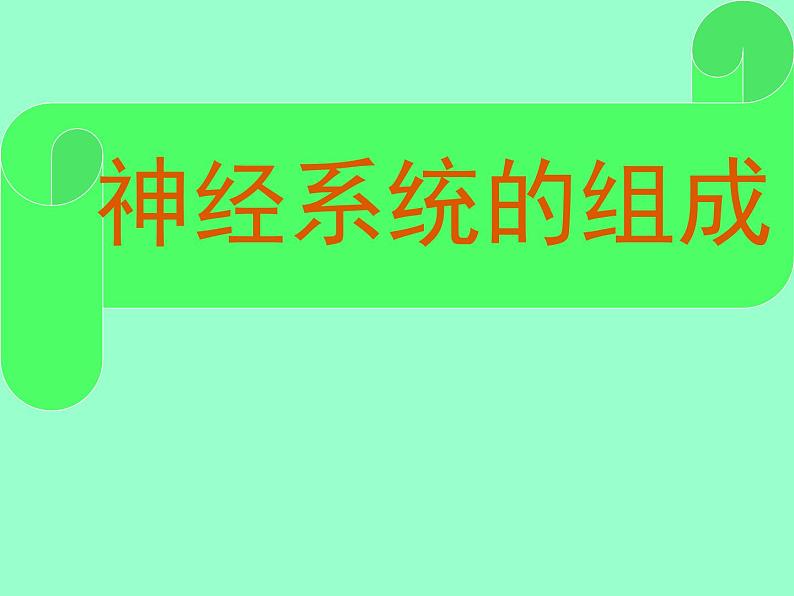 人教版七下生物 6.2神经系统的组成 课件第1页