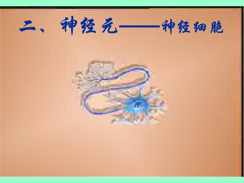 人教版七下生物 6.2神经系统的组成 课件第8页