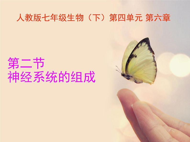 人教版七下生物 6.2神经系统的组成 课件第2页