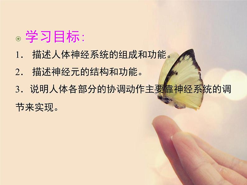 人教版七下生物 6.2神经系统的组成 课件第3页