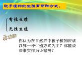 人教版八下生物 7.1.1植物的生殖 课件