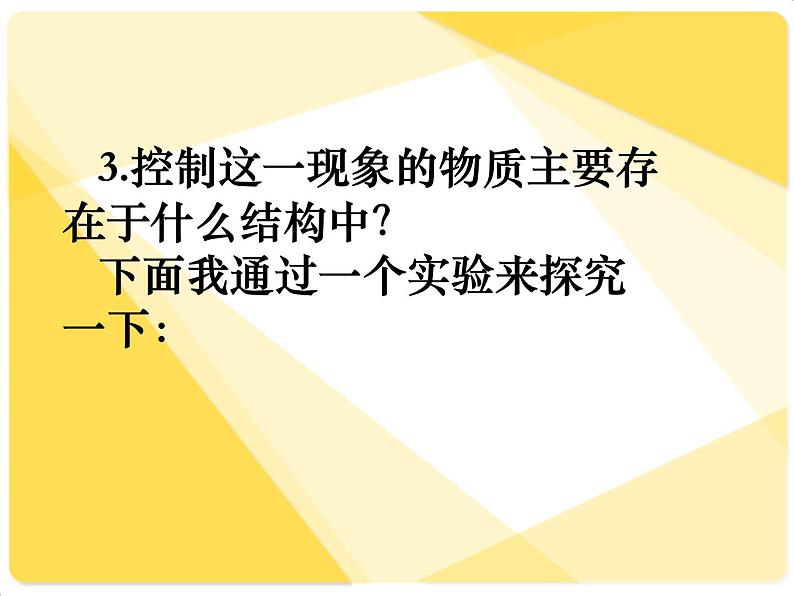 苏教版八下生物 22.1DNA是主要的遗传物质 课件07