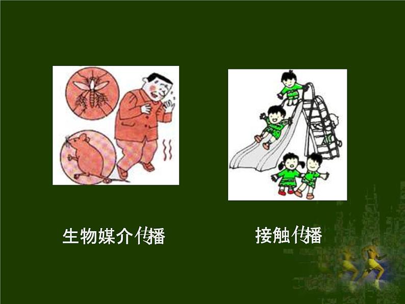 苏教版八下生物 25.1传染病 课件05