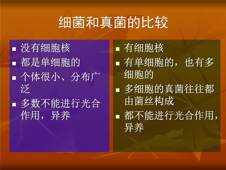 苏科版七下生物 13.2 土壤里的微生物 课件03