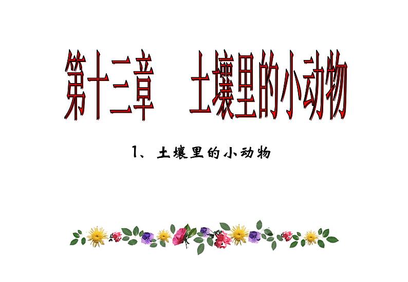 苏科版七下生物 13.1 土壤里的小动物 课件01