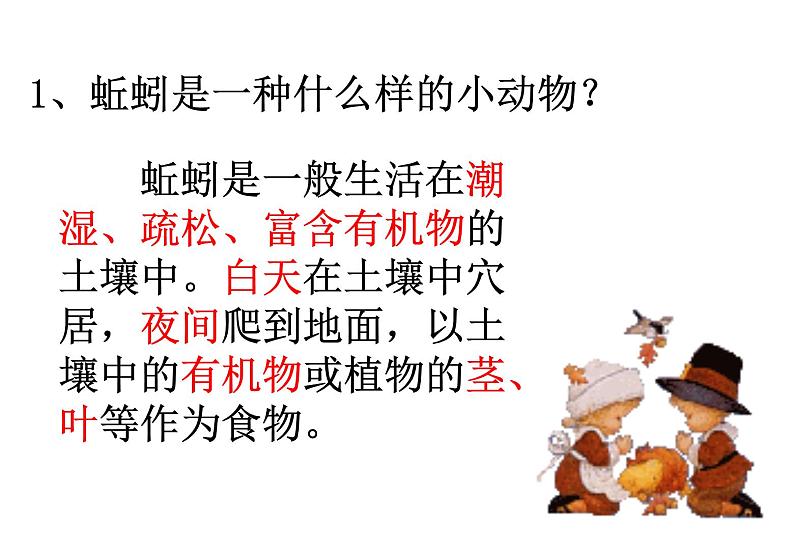 苏科版七下生物 13.1 土壤里的小动物 课件06