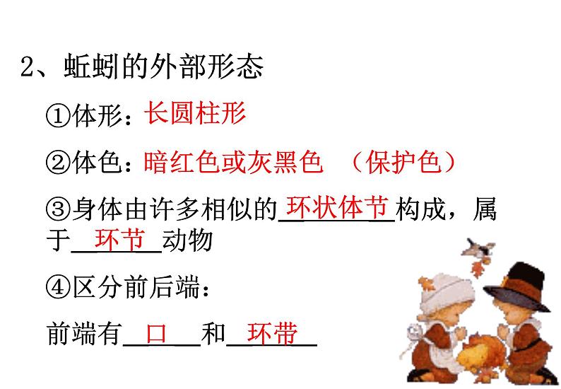 苏科版七下生物 13.1 土壤里的小动物 课件07