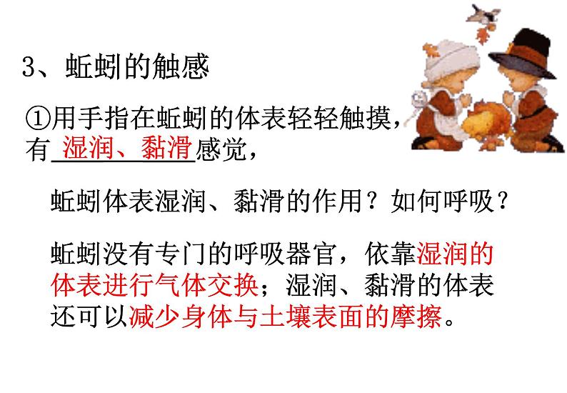 苏科版七下生物 13.1 土壤里的小动物 课件08