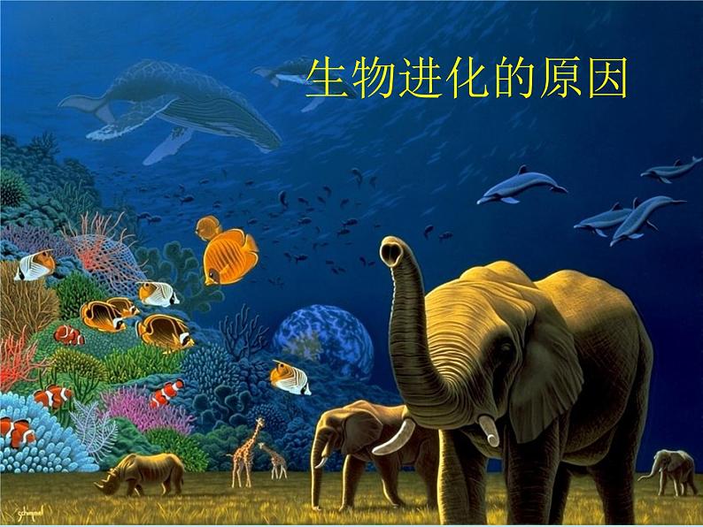 苏科版八下生物 23.3 生物进化的原因 课件03