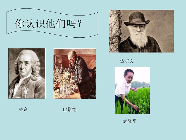 苏科版八下生物 23.3 生物进化的原因 课件04